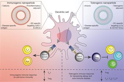 Therapeutic Liposomal Vaccines for Dendritic Cell Activation or Tolerance